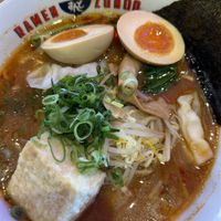 Vegetarian miso spicy ramen  at Ramen Zundo in Chatswood