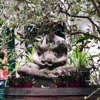 buddha at Makro 1 in Vienna