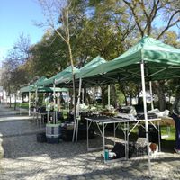 Saturday Market at Mercado AgroBio Organic in Portimao