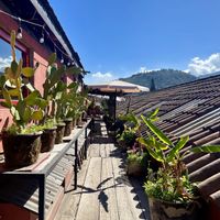Terrasse   at Cafe Bohème   in Antigua