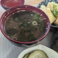 Miso at Kissaten  in Alphington