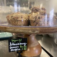 Vegan labels!  at Roots Zero Waste Market in Boise