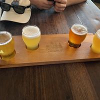 Beer flight  at 4 Pines in Manly