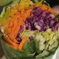 Vegan Indian Taco at Arya Bhavan in Chicago