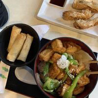 Sesame Tofu Don and Spring Rolls at Pompoko in Brighton