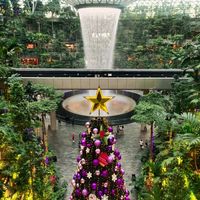 Scene @ Jewel at SIN - Mr Coconut - Jewel in East Singapore