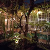  at Downtown - Vegan Garden Restaurant in Chiang Mai