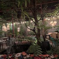 The garden in the back of the restaurant   at Downtown - Vegan Garden Restaurant in Chiang Mai
