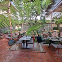  at Downtown - Vegan Garden Restaurant in Chiang Mai