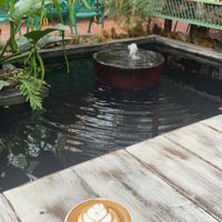   at Downtown - Vegan Garden Restaurant in Chiang Mai