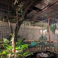  at Downtown - Vegan Garden Restaurant in Chiang Mai