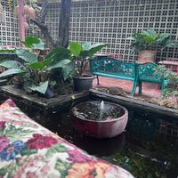  at Downtown - Vegan Garden Restaurant in Chiang Mai