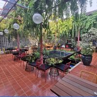 Outdoor seating at Downtown - Vegan Garden Restaurant in Chiang Mai