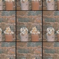 Vegan mint chocolate chip & chocolate peanut butter milkshakes 🍨  at The Chicago Diner - Lakeview in Chicago