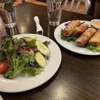 Side Salad and Rueben Rolls at The Chicago Diner - Lakeview in Chicago