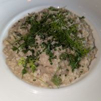 Risotto at Caesar's Palace - Gordon Ramsay Hell's Kitchen in Las Vegas