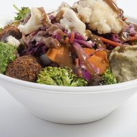 Some of the best falafel! at Feta Kitchen in Bloomington