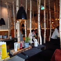 Ieder vind zijn plekje in het berkenbos at Hans im Glück in Kufstein