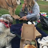 The samosa and the caprese sandwich  at Cheesewalla in Redlands