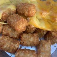 Tots with vegan cheese at Cheesewalla in Redlands