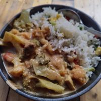 Vegetable rice and curry at Root Vegetarian in Cairns