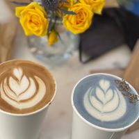 Vanilla and lavender lattes with Oat Milk 💚 at Coffee And Plants in Pasadena
