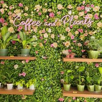 Inside at Coffee And Plants in Pasadena