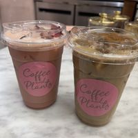 Iced chai latte and rose iced latte  at Coffee And Plants in Pasadena