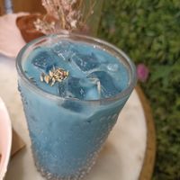  at Coffee And Plants in Pasadena