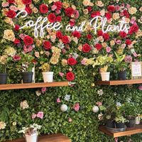  #Veganuary at Coffee And Plants in Pasadena