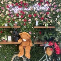 Plant peoplee  at Coffee And Plants in Pasadena