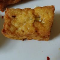 Mushroom Onion Tofu: Our favorite, best flavor at Thanh Son Tofu in Falls Church