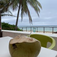 Fresh coco and views   at The Beached Bikini in Akumal
