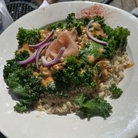 Kale ginger salad   at Sluggo's North Vegetarian Cafe in Chattanooga