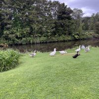 The wonderful scenery!   at Plough & Feather in Kerikeri
