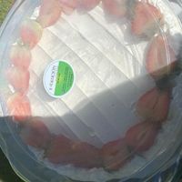  at Evolución Vegana in Bogota