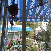 View looking out at Found in Brighton