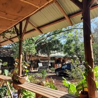 Outside at The Wishing Tree in Moshi