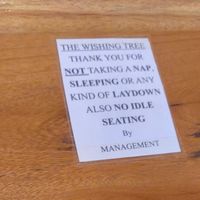  at The Wishing Tree in Moshi