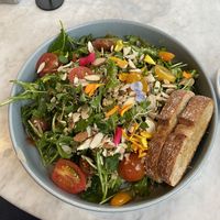 Vegan salad dish  at Emissary in Washington