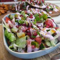 King oyster gyros at Vegane Glorie in The Hague