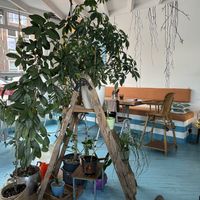   at Vegane Glorie in The Hague