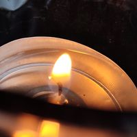  at Vegane Glorie in The Hague