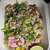   at Vegane Glorie in The Hague