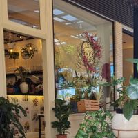 💚 at Botanico - Colheita Criativa in Florianopolis