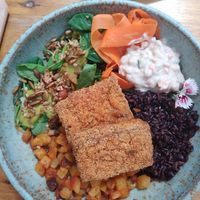 Tofu Bowl at Botanico - Colheita Criativa in Florianopolis