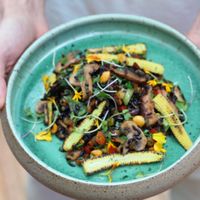 vegan risoto at Botanico - Colheita Criativa in Florianopolis