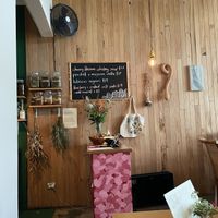   at Forest in Auckland