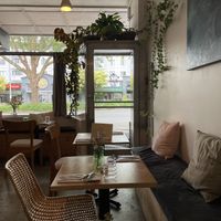   at Forest in Auckland