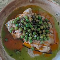  at Forest in Auckland